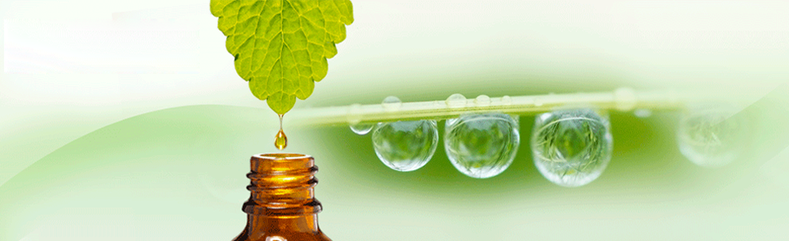 pondicherry ayurvedic centre